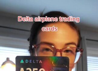 The Sky’s the Limit: Exploring the Unexpected Rise of Airplane Trading Cards